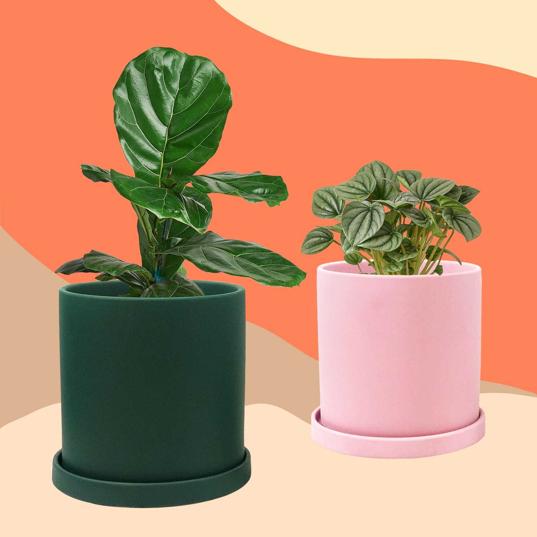 Matte Ceramic Planter