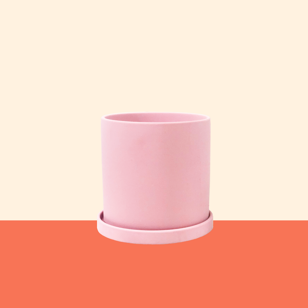 Matte Ceramic Planter