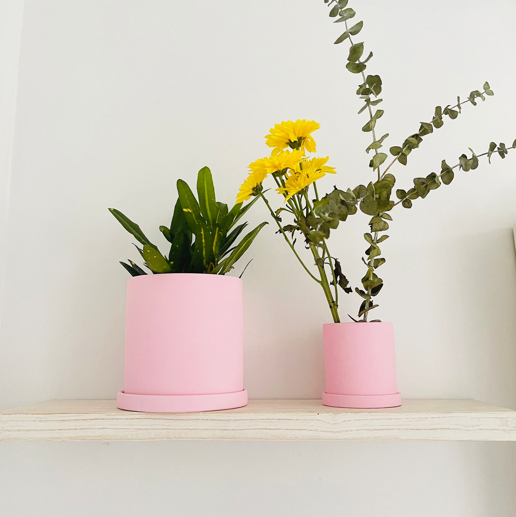 Matte Ceramic Planter