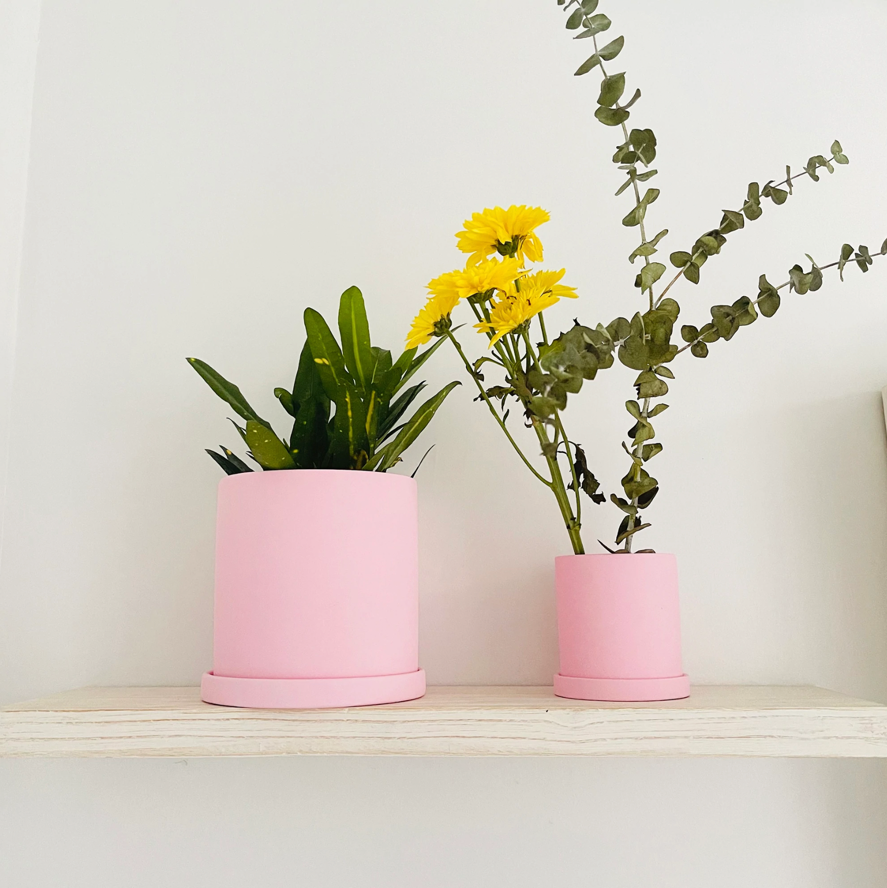 Matte Ceramic Planter