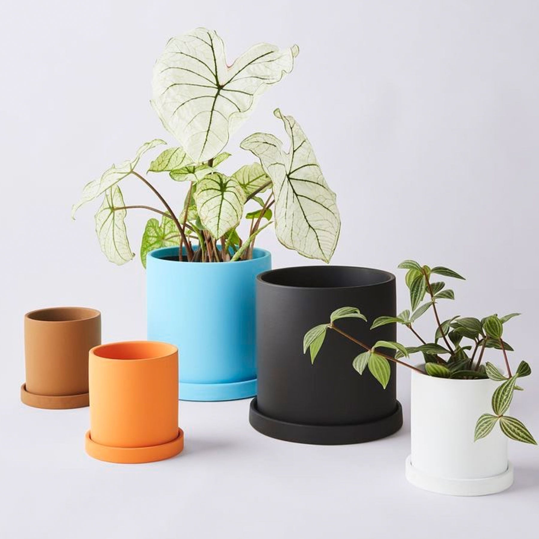 Matte Ceramic Planter