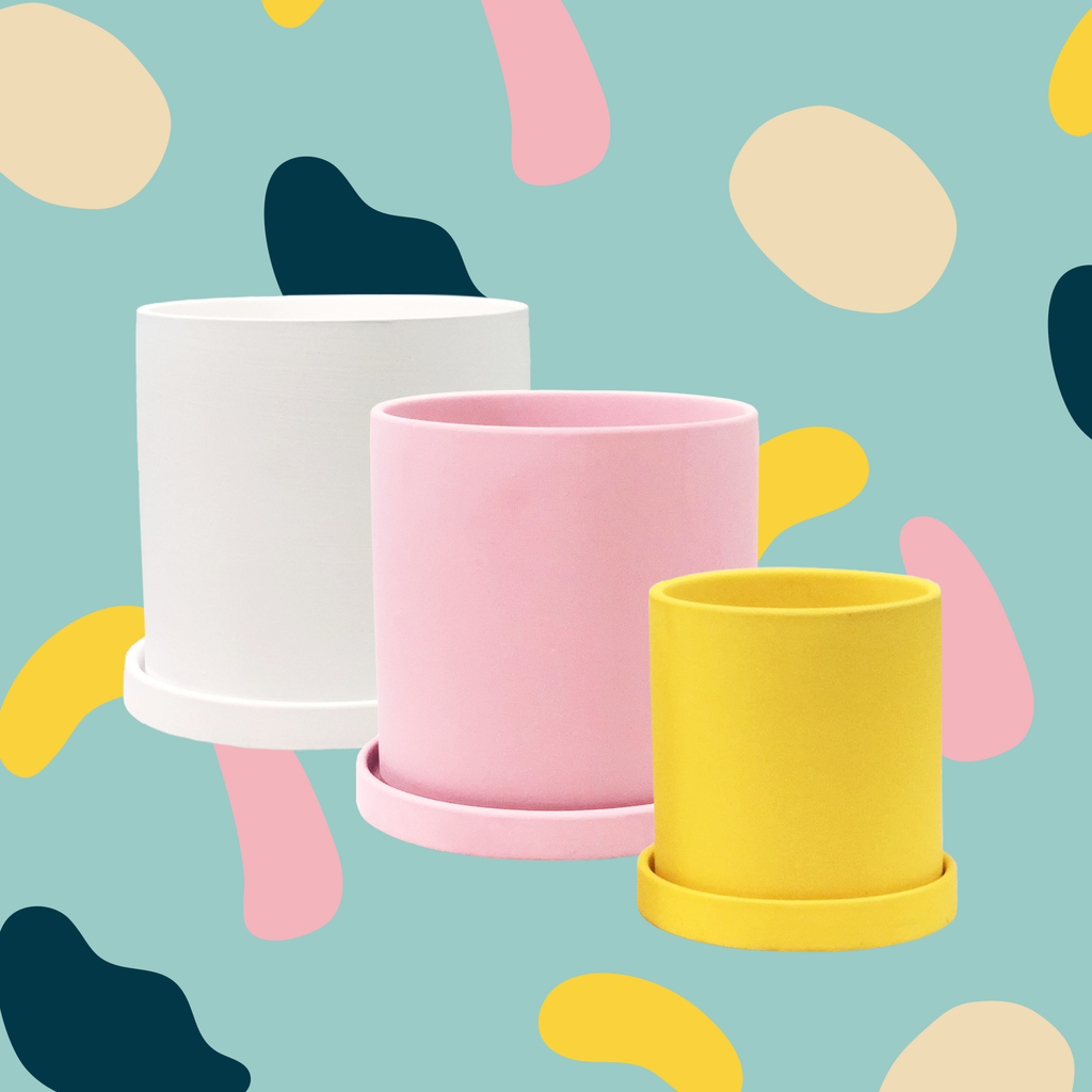 Matte Ceramic Planter