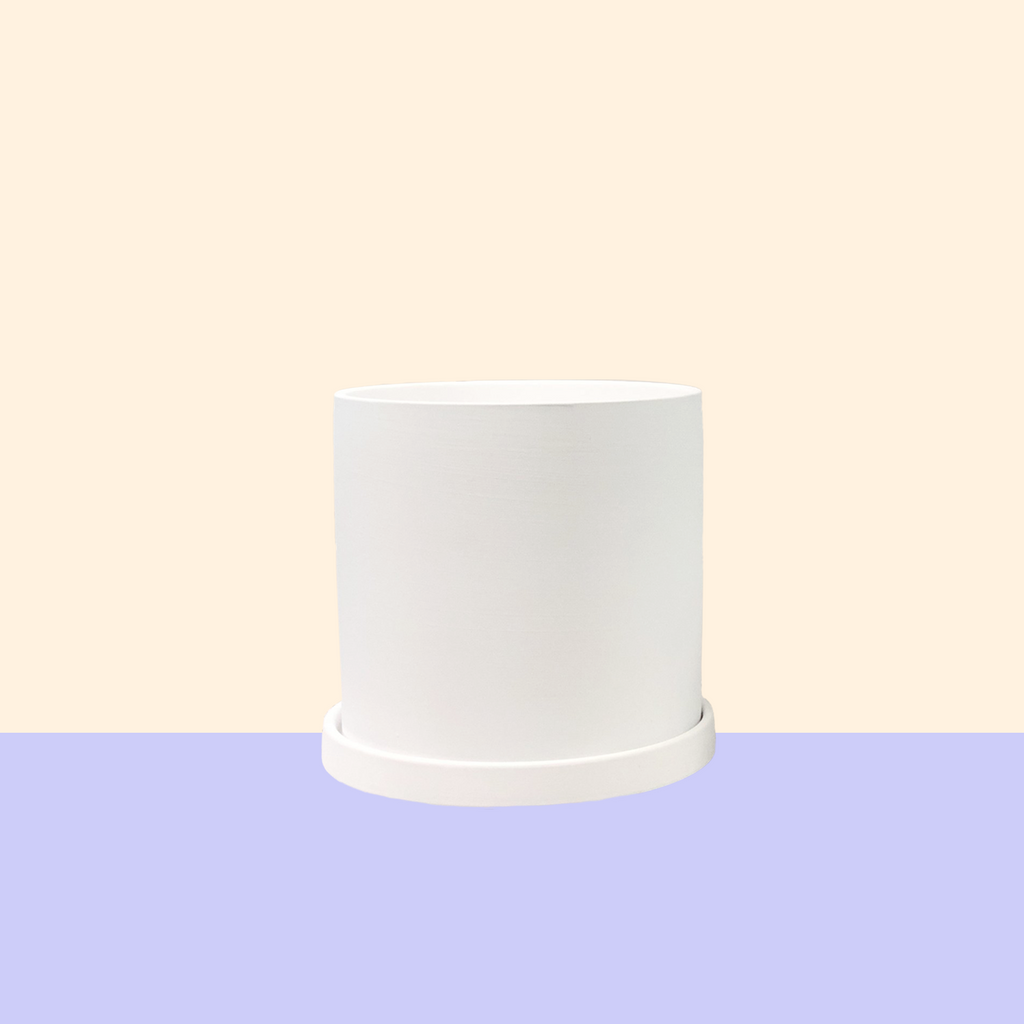 Matte Ceramic Planter
