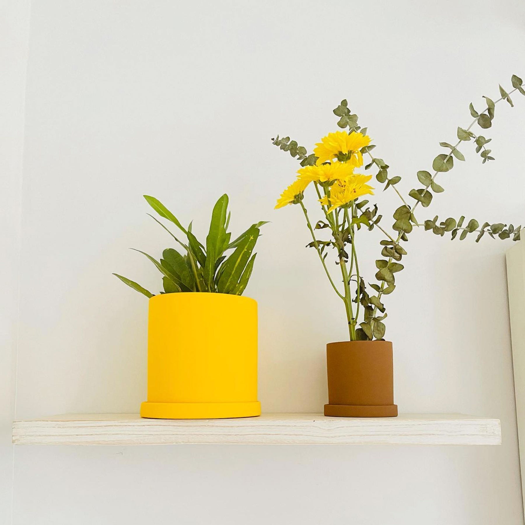 Matte Ceramic Planter